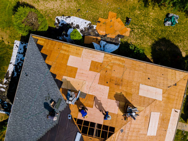 Best Gutter Installation and Roofing  in Wendell, NC